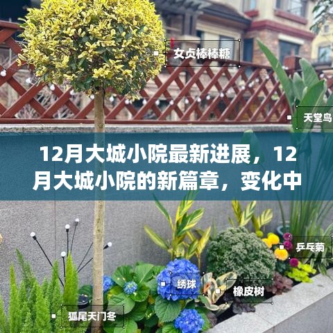 12月大城小院新進(jìn)展，變化中的學(xué)習(xí)，自信與成就感的綻放