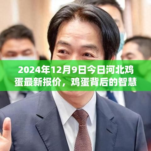 河北雞蛋最新報價背后的智慧，學習變化，自信成就未來（2024年12月9日）