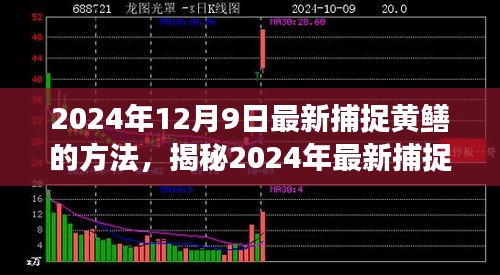 揭秘高效生態(tài)捕捉黃鱔新方法，2024年最新捕捉技巧分享。
