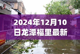 揭秘龍?zhí)陡＠铼?dú)特風(fēng)情與最新房價(jià)探索之旅（2024年12月10日最新房價(jià)更新）