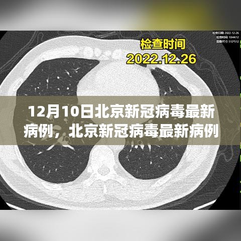 北京新冠病毒最新病例分析報(bào)告，深度解讀（截至12月10日）