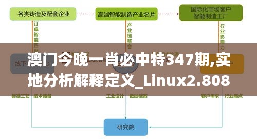澳門今晚一肖必中特347期,實地分析解釋定義_Linux2.808