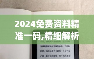2024免費(fèi)資料精準(zhǔn)一碼,精細(xì)解析說明_Kindle4.232