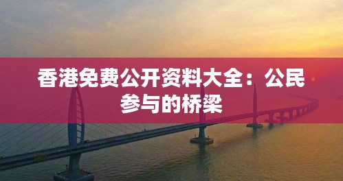 香港免費(fèi)公開資料大全：公民參與的橋梁