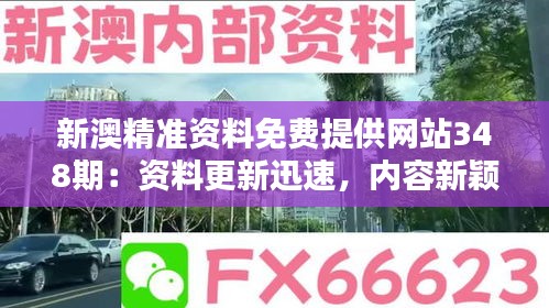 新澳精準(zhǔn)資料免費(fèi)提供網(wǎng)站348期：資料更新迅速，內(nèi)容新穎