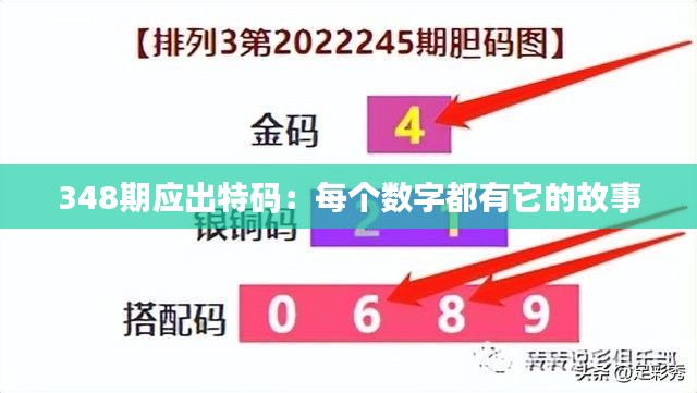 348期應出特碼：每個數字都有它的故事