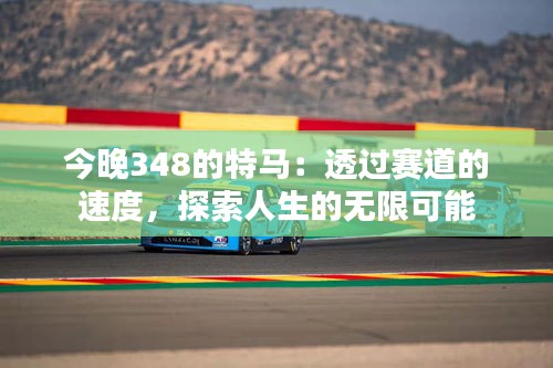 今晚348的特馬：透過賽道的速度，探索人生的無(wú)限可能