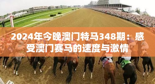 2024年今晚澳門特馬348期：感受澳門賽馬的速度與激情