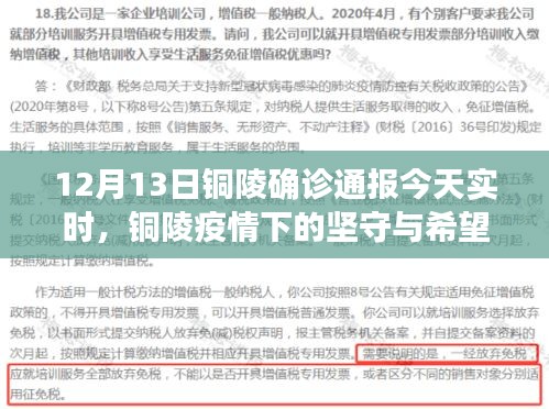 銅陵疫情下的堅守與希望，最新實時確診通報觀察