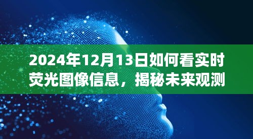 揭秘未來(lái)觀測(cè)，深度解讀實(shí)時(shí)熒光圖像信息，預(yù)見(jiàn)未來(lái)視界（2024年實(shí)時(shí)熒光圖像指南）