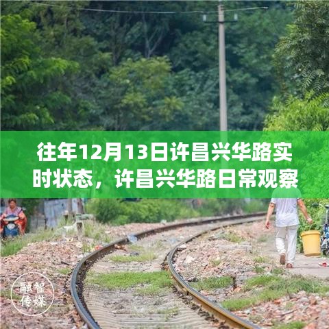 許昌興華路12月13日實(shí)時狀態(tài)回顧與日常觀察指南，獲取往年實(shí)時狀態(tài)解析