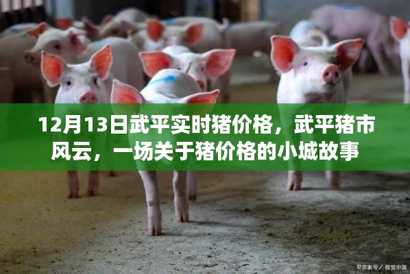 武平豬市風(fēng)云，小城故事中的實(shí)時(shí)豬價(jià)格揭秘