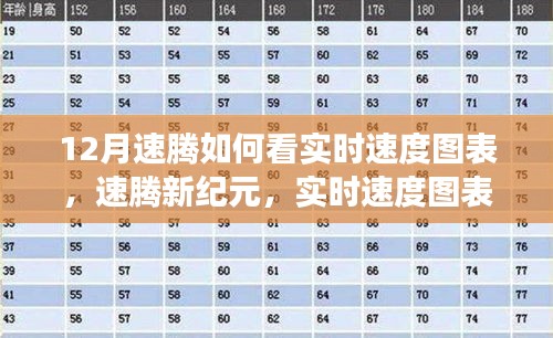 速騰新紀(jì)元，實(shí)時(shí)速度圖表科技重塑駕駛體驗(yàn)解析