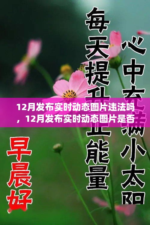 解讀，實(shí)時(shí)動(dòng)態(tài)圖片發(fā)布是否違法？關(guān)于12月發(fā)布實(shí)時(shí)動(dòng)態(tài)圖片的法規(guī)與案例分析