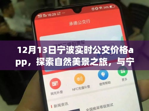 寧波實時公交價格app，探索自然美景與內(nèi)心寧靜之旅