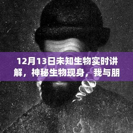 未知生物揭秘，神秘現(xiàn)身與溫馨探險(xiǎn)之旅
