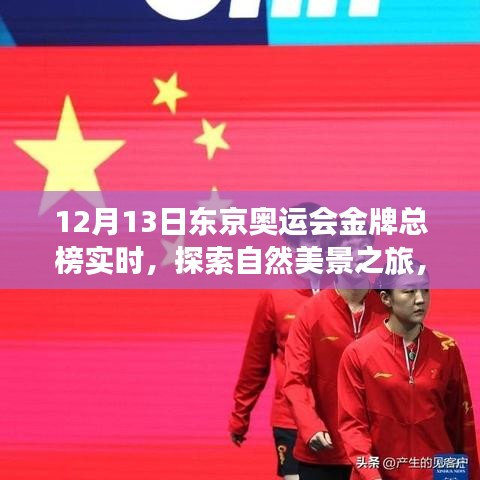 東京奧運(yùn)會金牌總榜下的心靈洗禮與自我發(fā)現(xiàn)之旅，自然美景的探索之旅（實(shí)時更新）