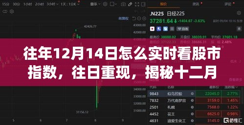 揭秘十二月十四日股市指數(shù)的實(shí)時(shí)觀察之旅，歷史數(shù)據(jù)與當(dāng)日重現(xiàn)分析