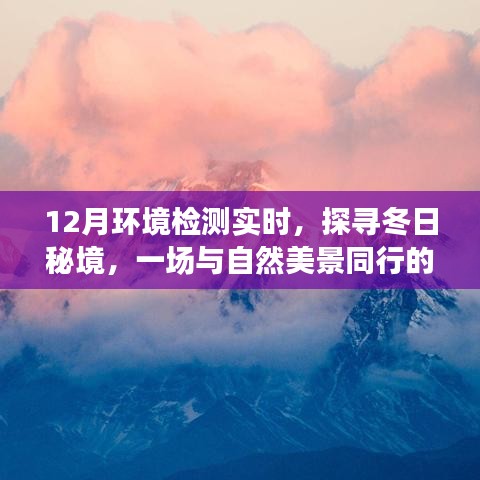 繁鳥萃棘 第4頁