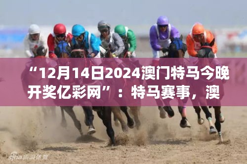 “12月14日2024澳門特馬今晚開獎(jiǎng)億彩網(wǎng)”：特馬賽事，澳門的驕傲