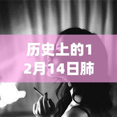 歷史上的十二月十四日，肺炎動態(tài)壁紙與動漫壁紙店的探秘之旅