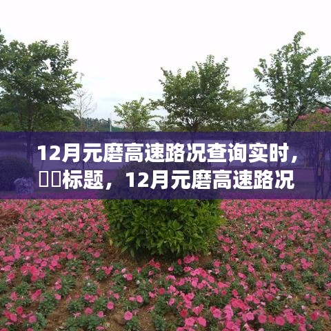 12月元磨高速路況實時更新，與自然美景共舞的心靈寧靜之旅。