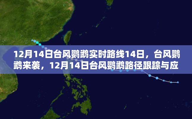 臺風鸚鵡來襲，應對指南與實時路徑跟蹤（初學者與進階用戶版）