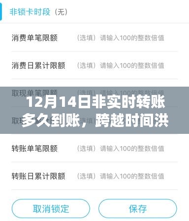 非實(shí)時(shí)轉(zhuǎn)賬的智慧，到賬時(shí)間解析與成就感的誕生