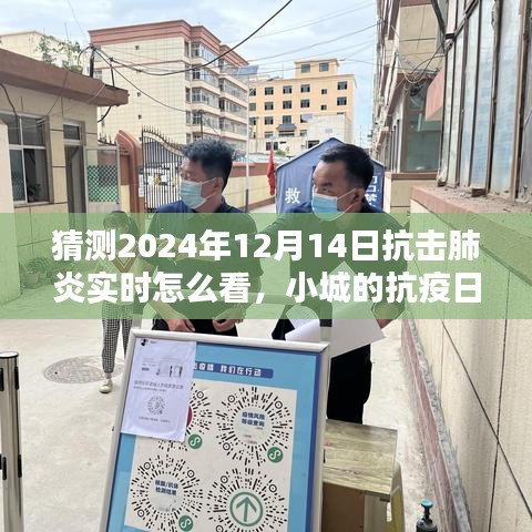 2024年12月14日小城抗疫日記，抗擊肺炎實時觀察與溫馨抗疫時光