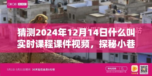 探秘實(shí)時課程課件視頻，小巷深處的寶藏與特色小店的奇妙邂逅，2024年12月14日的探索之旅