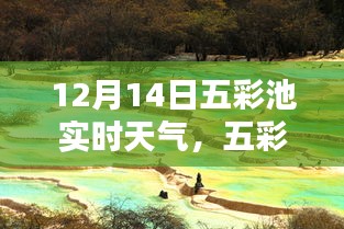 五彩池畔冬日暖陽，12月14日實(shí)時(shí)天氣報(bào)告