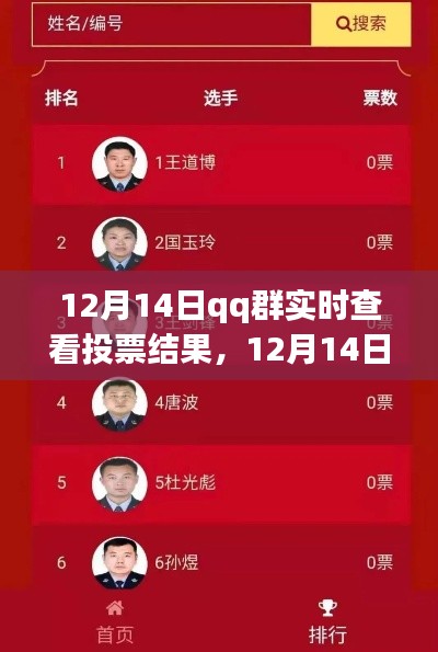 12月14日QQ群實(shí)時(shí)投票結(jié)果查看功能深度評測與介紹