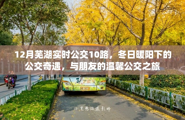 冬日暖陽下的溫馨公交之旅，蕪湖實(shí)時(shí)公交10路之旅