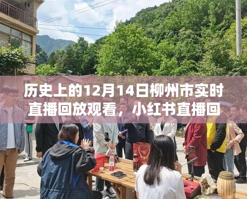 柳州市歷史時(shí)刻探尋，12月14日直播回放與值得銘記的瞬間