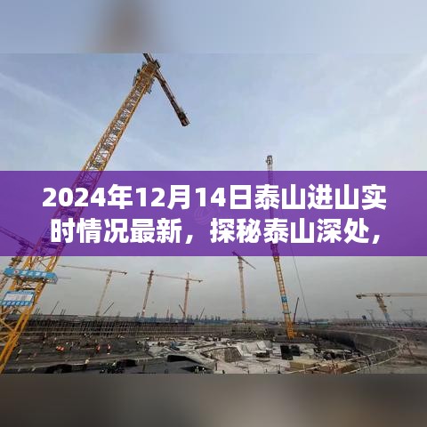 探秘泰山深處，小巷特色小店與最新進(jìn)山實(shí)時(shí)情況揭秘