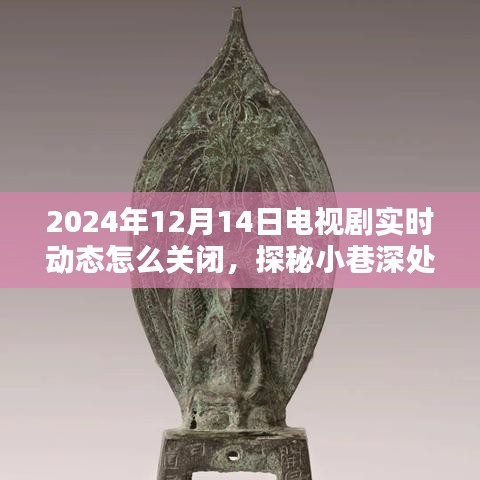 探秘電視劇實(shí)時動態(tài)關(guān)閉秘籍，解鎖電視劇屏蔽秘境，教你如何屏蔽電視劇動態(tài)通知（針對2024年12月14日）