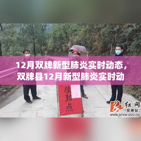 雙牌縣十二月新型肺炎實時動態(tài)概覽，背景、進展與影響分析