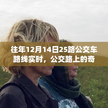 十二月十五日公交之旅，路上的奇遇與溫情紐帶紀(jì)實(shí)
