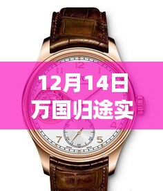 12月14日萬(wàn)國(guó)歸途實(shí)時(shí)票房深度解析，表現(xiàn)、特性、體驗(yàn)、競(jìng)品對(duì)比及用戶(hù)群體全面剖析