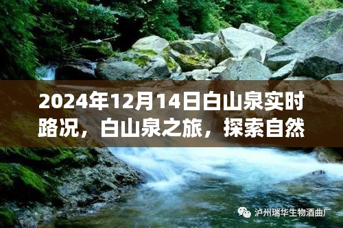 白山泉之旅，探索自然美景，實時路況更新與內(nèi)心平靜的追尋