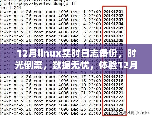體驗(yàn)Linux實(shí)時(shí)日志備份前沿科技魅力，時(shí)光倒流無(wú)憂數(shù)據(jù)保障在十二月