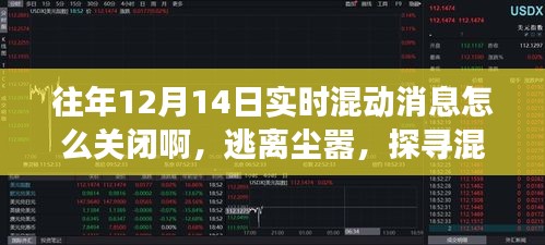 逃離塵囂之旅，探尋混動(dòng)之美與關(guān)閉實(shí)時(shí)混動(dòng)消息指南