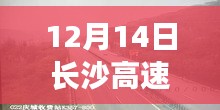12月14日長沙高速路況實(shí)時(shí)播報(bào)與行車指南
