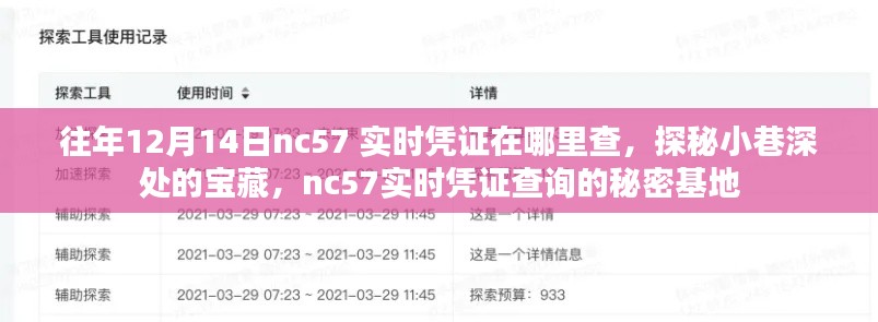 探秘往年12月14日nc57實(shí)時(shí)憑證查詢的秘密基地，小巷深處的寶藏大揭秘