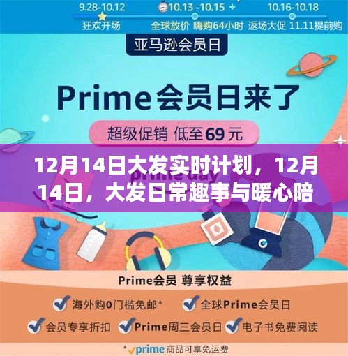 12月14日大發(fā)日常趣事與暖心陪伴的實時計劃
