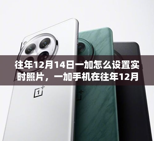 一加手機(jī)往年12月14日實(shí)時(shí)照片設(shè)置功能深度解析與評測