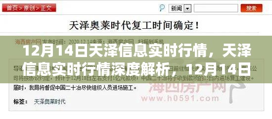 天澤信息實(shí)時(shí)行情解析，深度剖析與特殊篇章（12月14日）