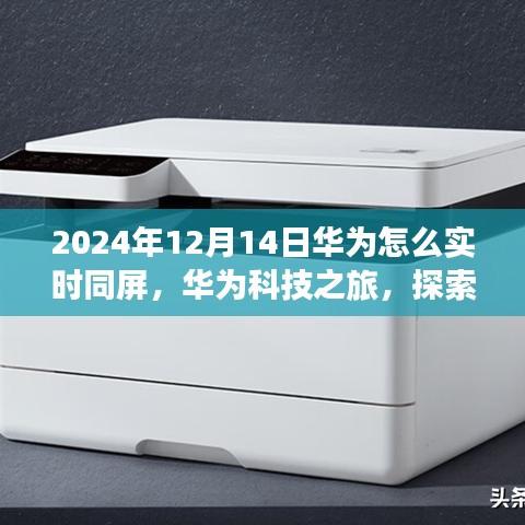 華為科技之旅，實時同屏探索自然美景的寧靜之旅（2024年12月14日）
