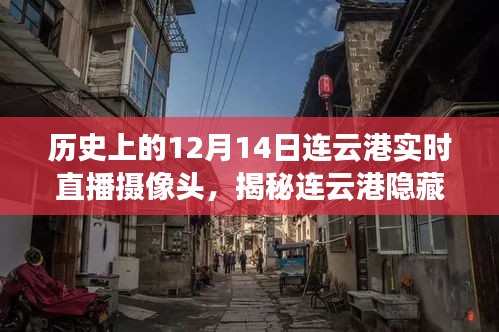 揭秘美食秘境，連云港隱藏小巷的實(shí)時(shí)直播探索之旅（附日期，12月14日）