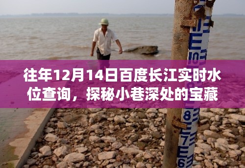 百度長(zhǎng)江水位查詢背后的秘密，小巷寶藏與實(shí)時(shí)水位數(shù)據(jù)探秘